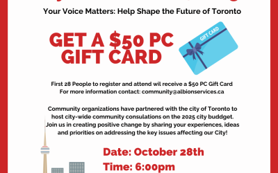 Community Consultations –  City of Toronto 2025 Budget