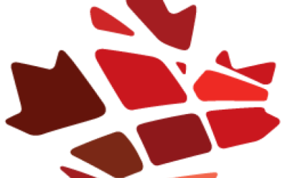 Resiliency Through Covid-19: The impact on the Black community
