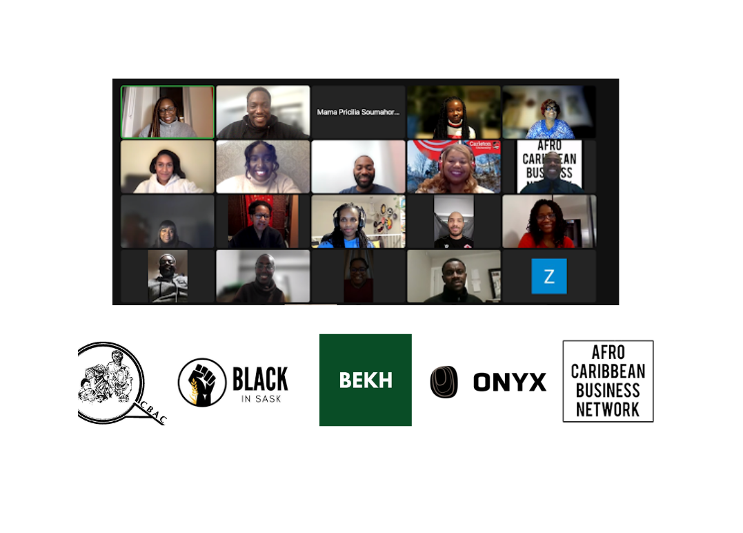 National Partners Group Meeting Zoom Meeting Screenshot, logos of partners