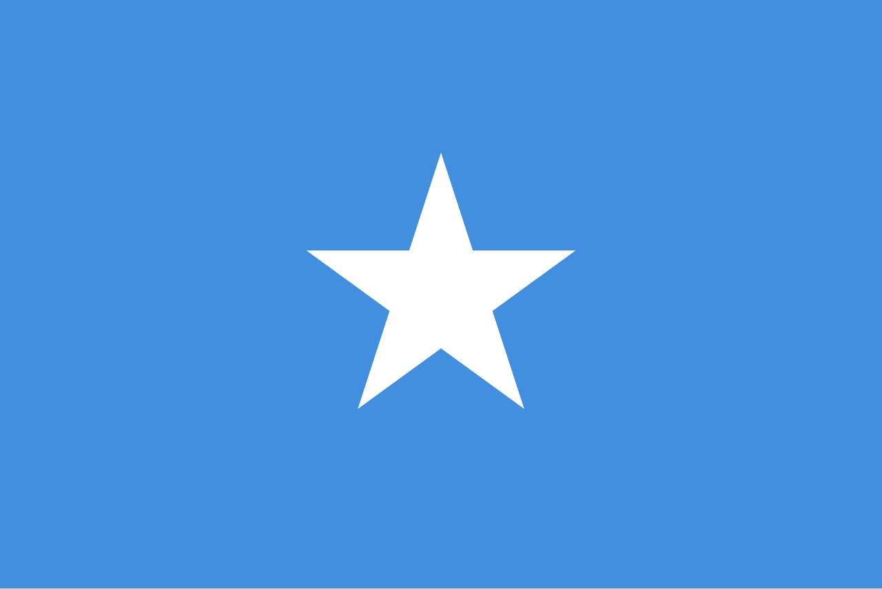 A flag with two yellow triangles at the top and bottom and two green triangles at the hoist and fly. These are surrounded by a red border charged with six five-pointed yellow stars – three at the top centre and three at the bottom centre – along with an additional star on a red disc at the centre and a nutmeg at the hoist triangle
